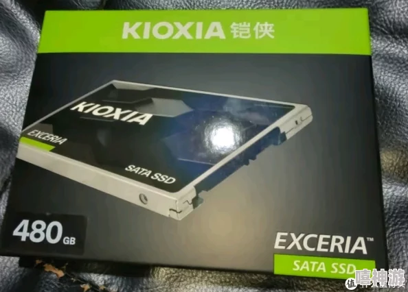 铠侠480GB SSD固态硬盘 SATA接口 EXCERIA SATA TC10系列