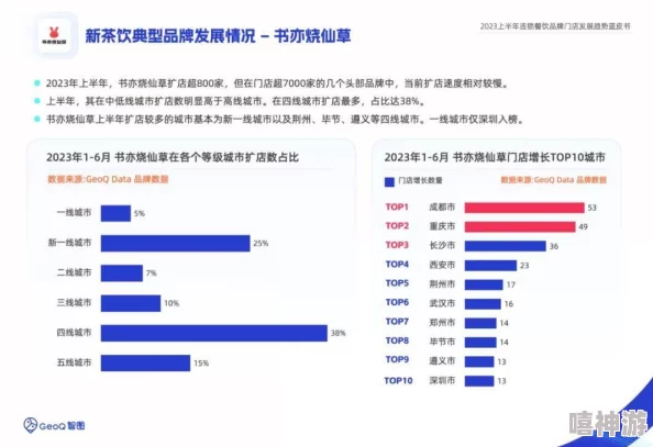 国产果冻豆传媒麻婆精东：分析其在市场中的独特定位与消费趋势，探讨品牌背后的文化意义与未来发展方向