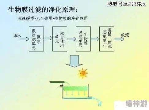 伊洛纳世界生物繁殖力全面优化策略与技巧解析，共创生态繁荣新篇章