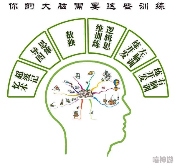 当代人生智慧解锁：超级大脑挑战答案全集与策略指南