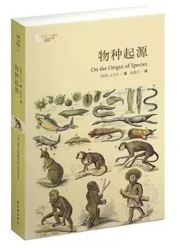 《达尔文进化岛》安卓封闭测试圆满收官，热切期盼再逢进化新纪元