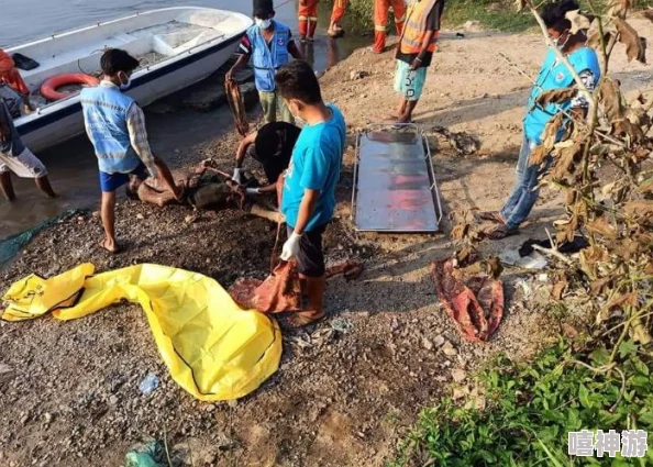 《无主之地》深度通关感想与攻略建议：探索广阔边境世界的奇遇、挑战及全解析