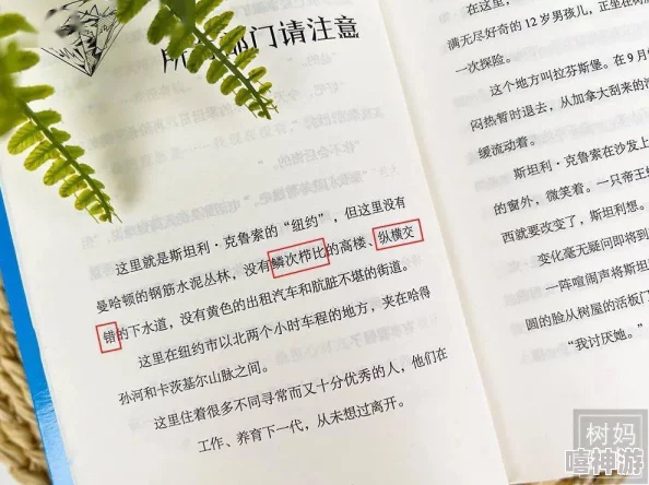 好舒服快深点公小说：震惊！这部作品竟然引发了全国范围内的热议，读者反响强烈，背后隐藏着不为人知的秘密！