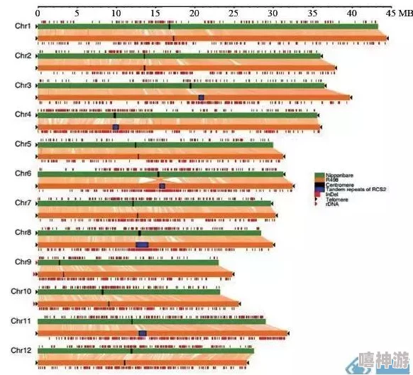 怎样拔萝卜示范怀孕：从传统农艺到现代科学，揭示其背后的生物学原理与实践技巧