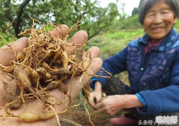 久操免费八卦揭秘娱乐圈内幕