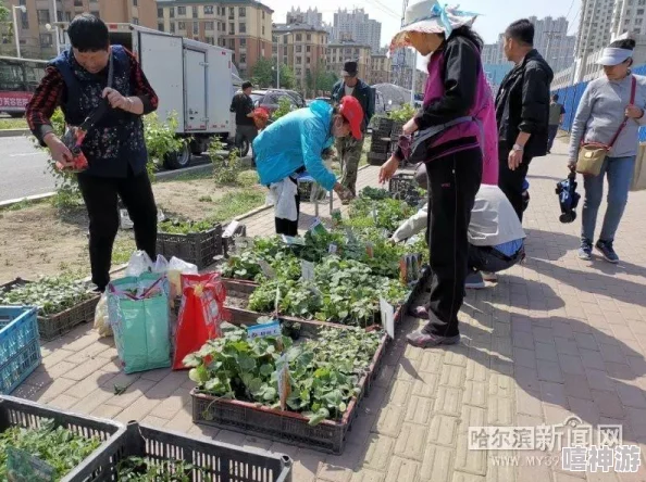 丝瓜草莓视频为什么简单易懂又老少皆宜为何如此受欢迎