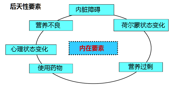 域名注册时应着重关注的几大关键要素与注意事项