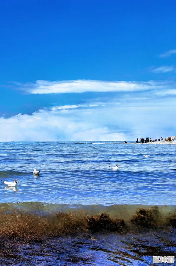 详细解析青海湖地图及周边景点指南