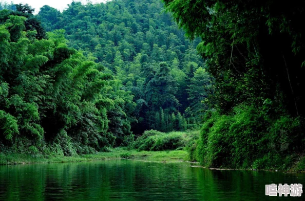 蜀南竹海旅游：探寻竹林里的自然之美与人文魅力