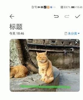 苹果备忘录消失原因及多种深度找回方法解析